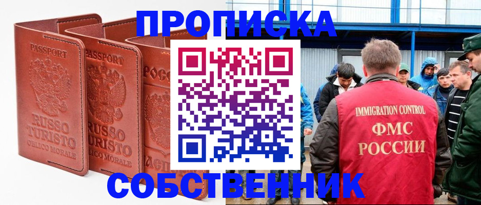 прописка поиск в Тайшете